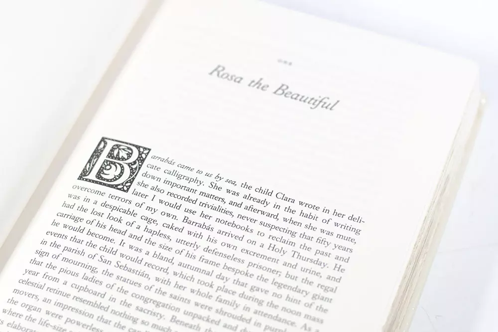 The House of the Spirits: A Novel.