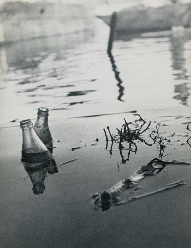 The Death of the Lake.