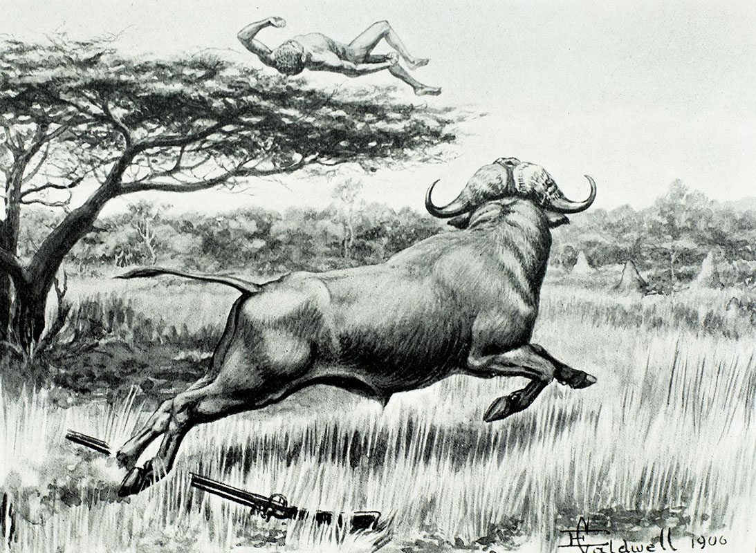 Jock of the Bushveld. - Image 3