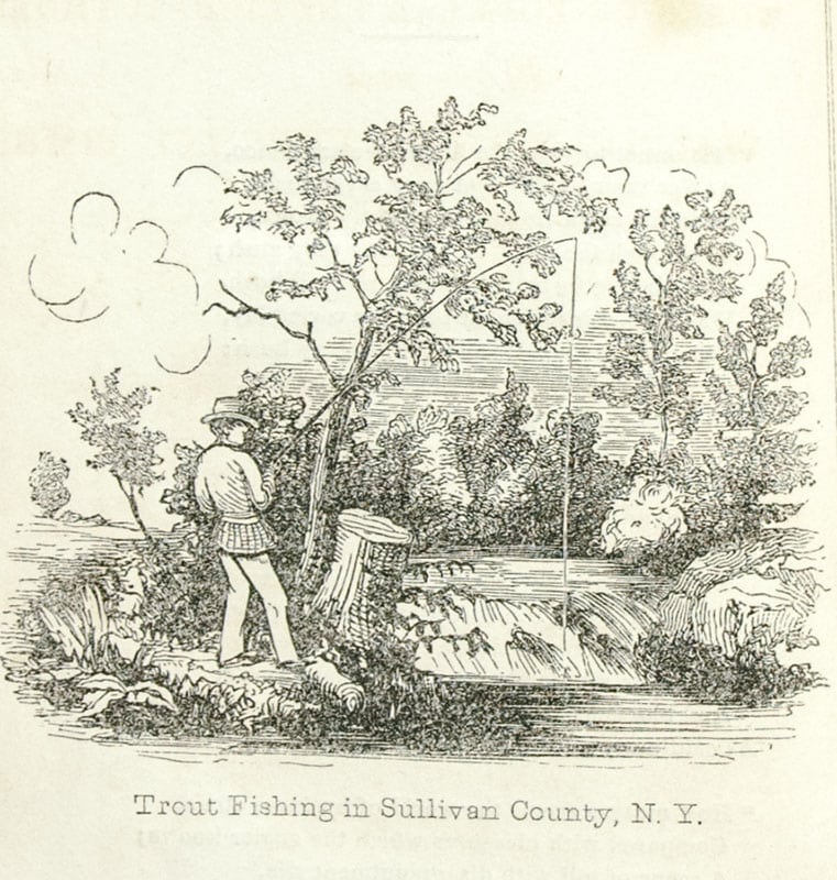 The American Angler's Guide