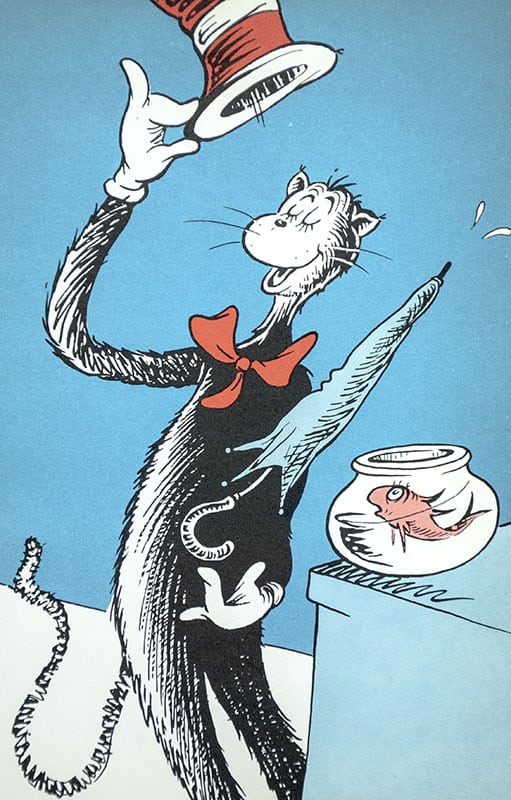 The Cat in the Hat
