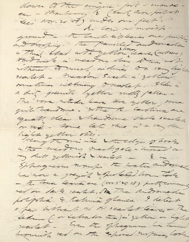 The Manuscript Edition of The Writings of Henry David Thoreau