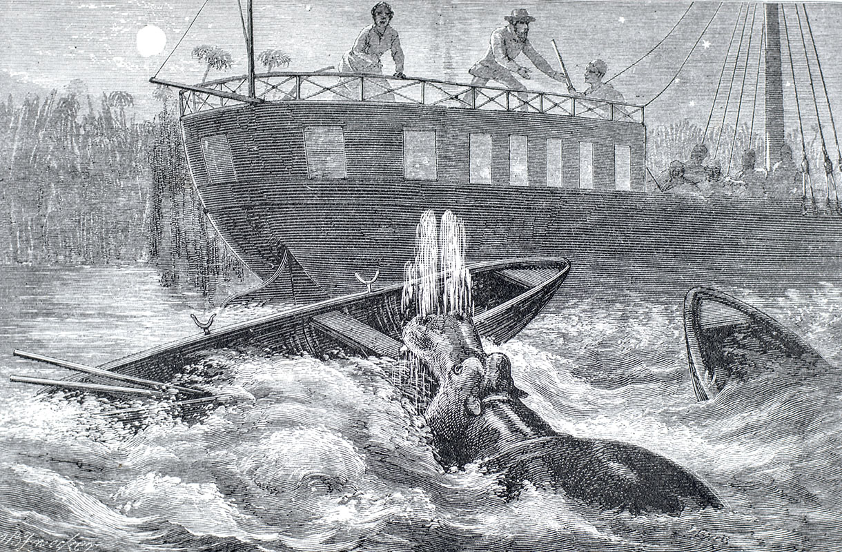 Ismailia: A Narrative of the Expedition to Central Africa for the Suppression of the Slave Trade. Organized by Ismail Khedive of Egypt