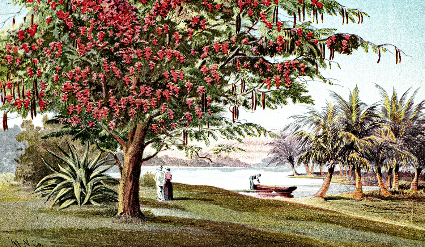 Florida: Beauties of the East Coast