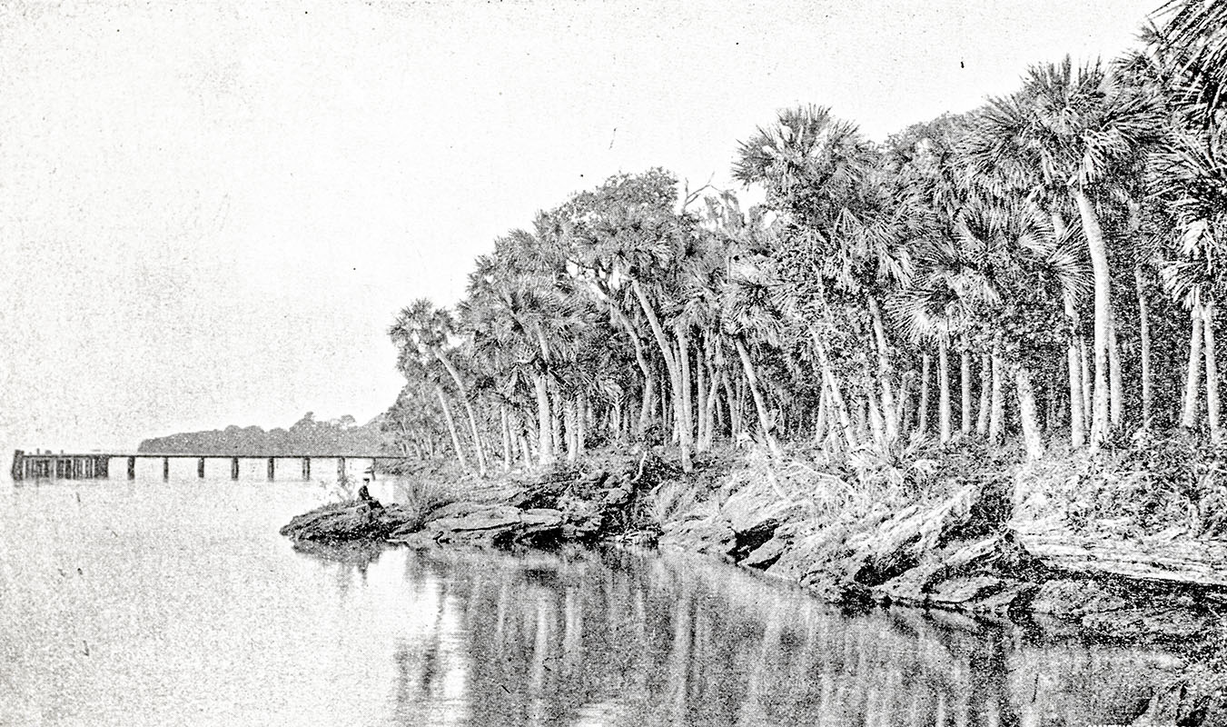 Florida: Beauties of the East Coast