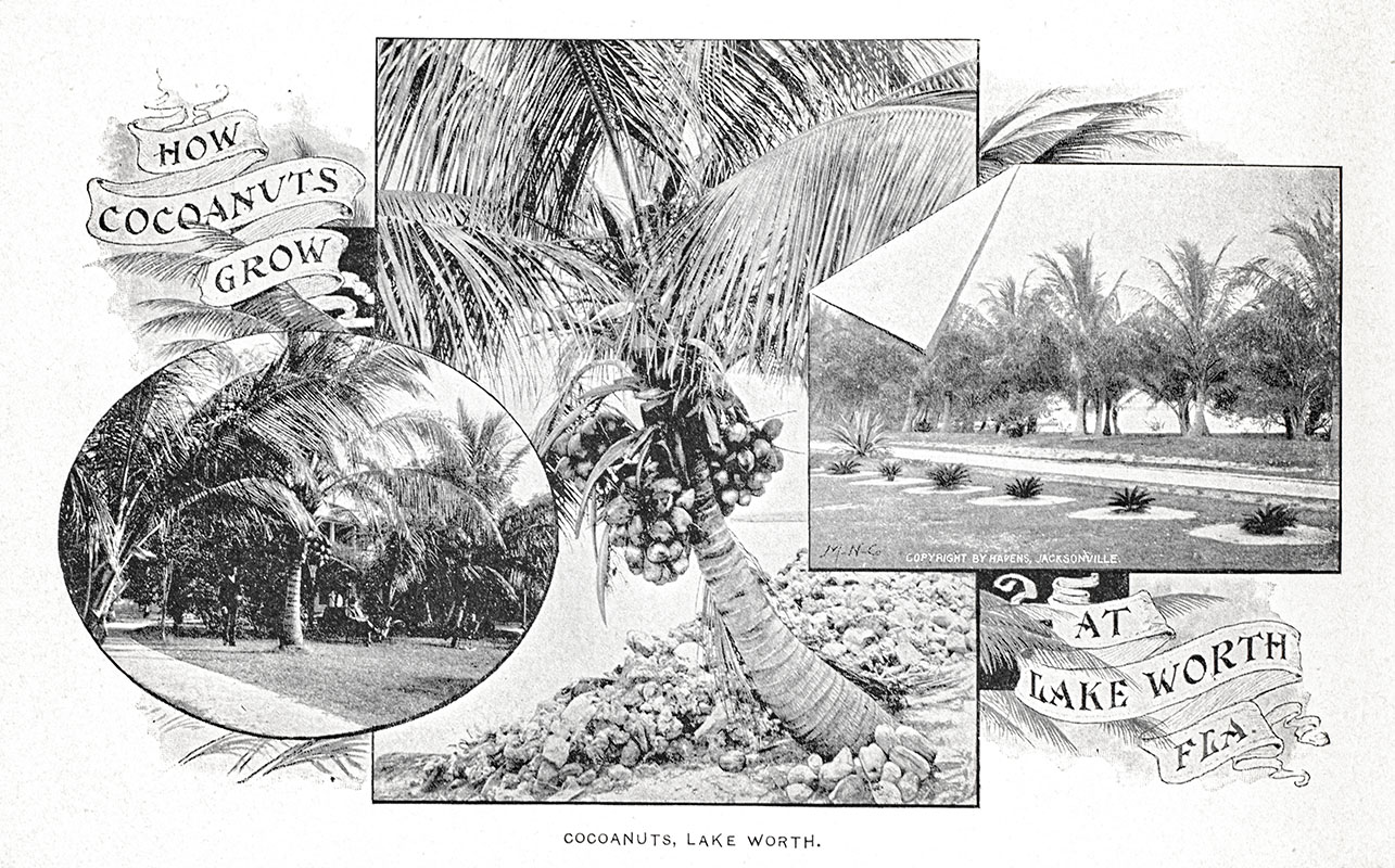 Florida: Beauties of the East Coast