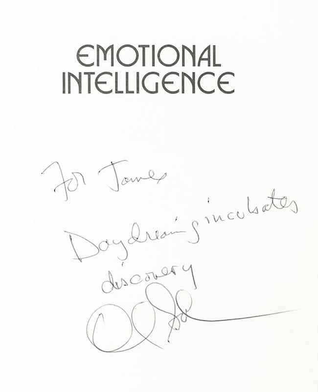 Emotional Intelligence: Why It Can Matter More than IQ