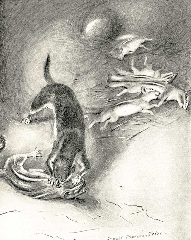 Lives of Game Animals.