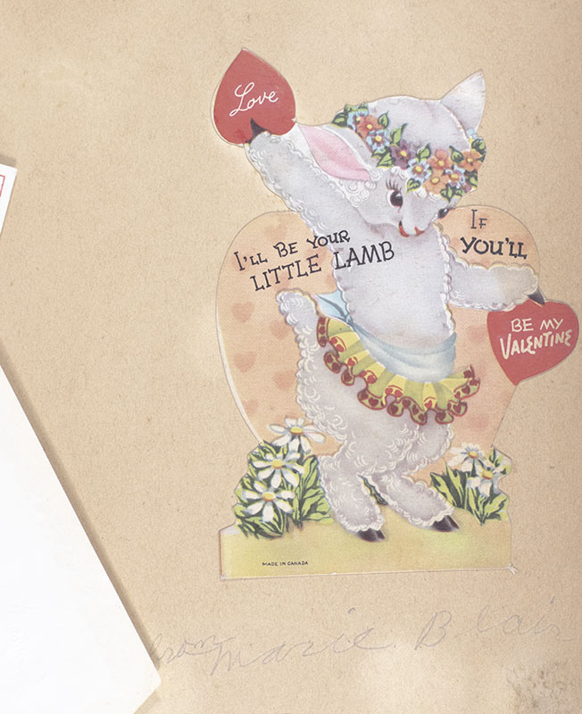 Antique Valentine Collection Album.