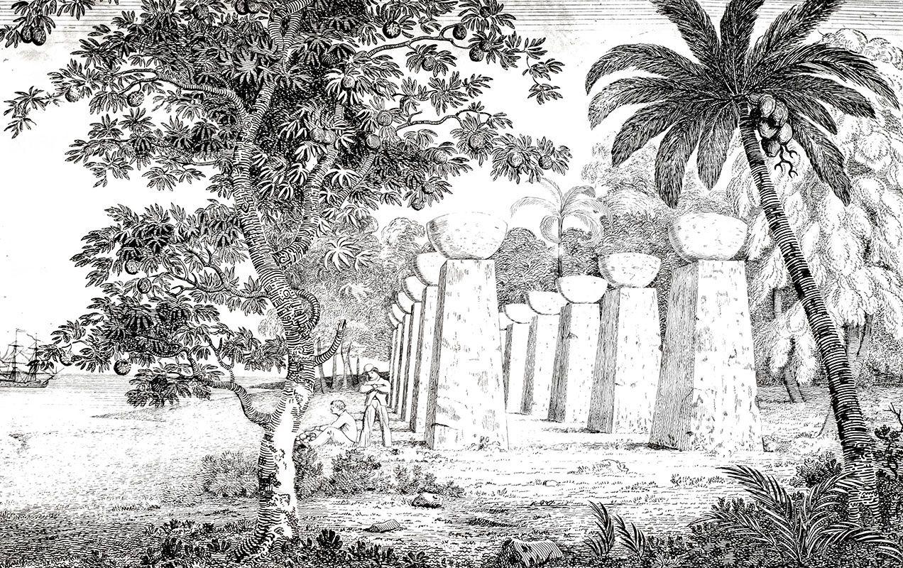 A Chronological History of the Discoveries in the South Sea or Pacific Ocean. Illustrated with Charts.