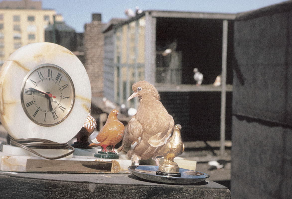 Slide Show: The Color Photographs of Helen Levitt. - Raptis Rare