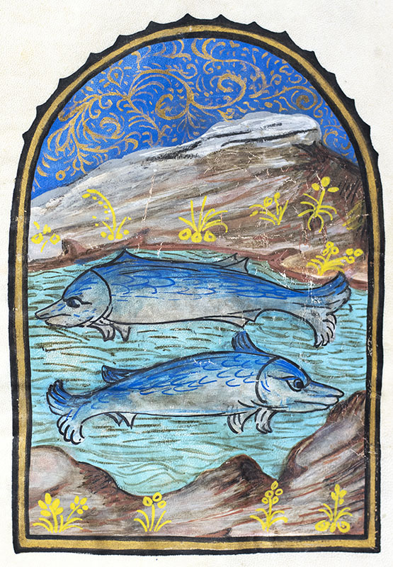 Illuminated Astrological Sign Symbol Painting Collection.