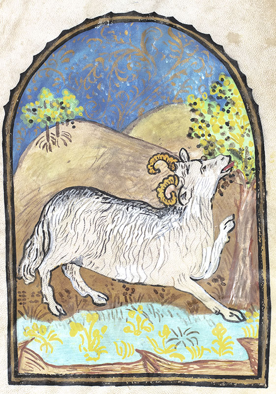 Illuminated Astrological Sign Symbol Painting Collection.