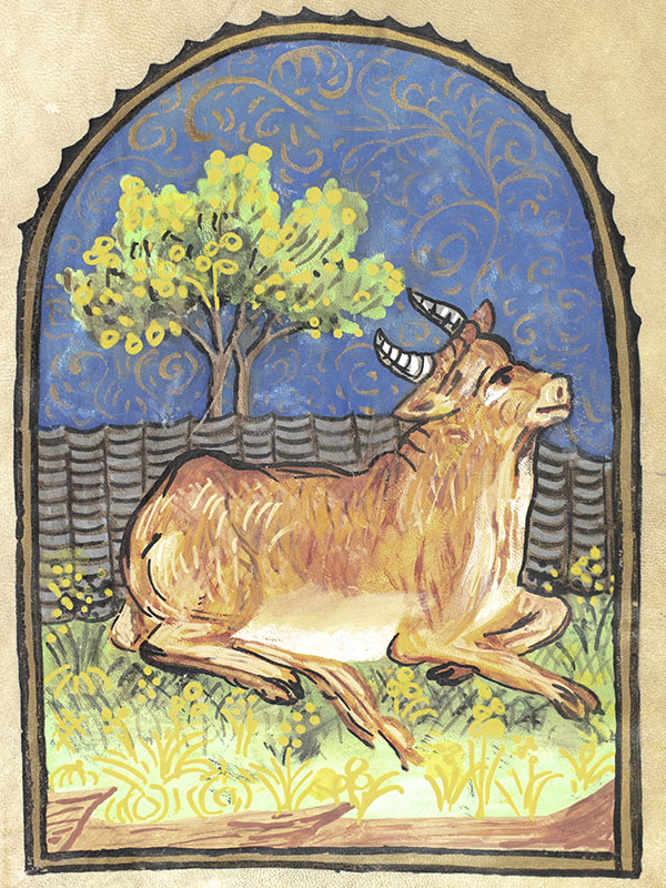 Illuminated Astrological Sign Symbol Painting Collection.