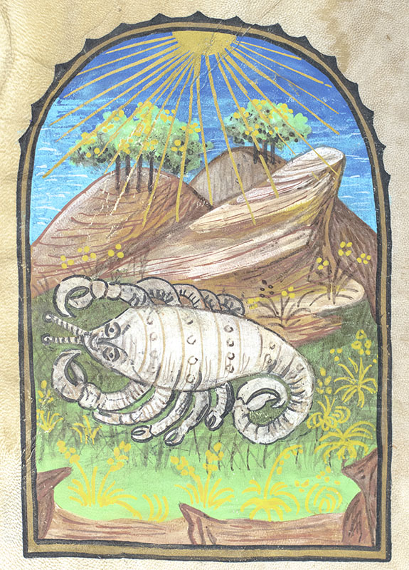 Illuminated Astrological Sign Symbol Painting Collection.