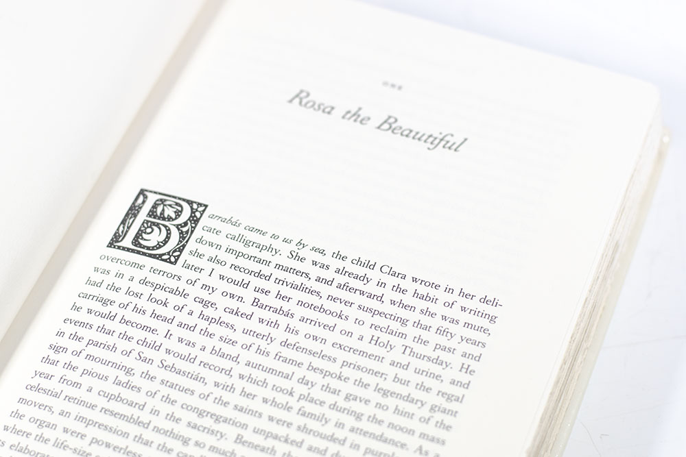The House of the Spirits: A Novel.