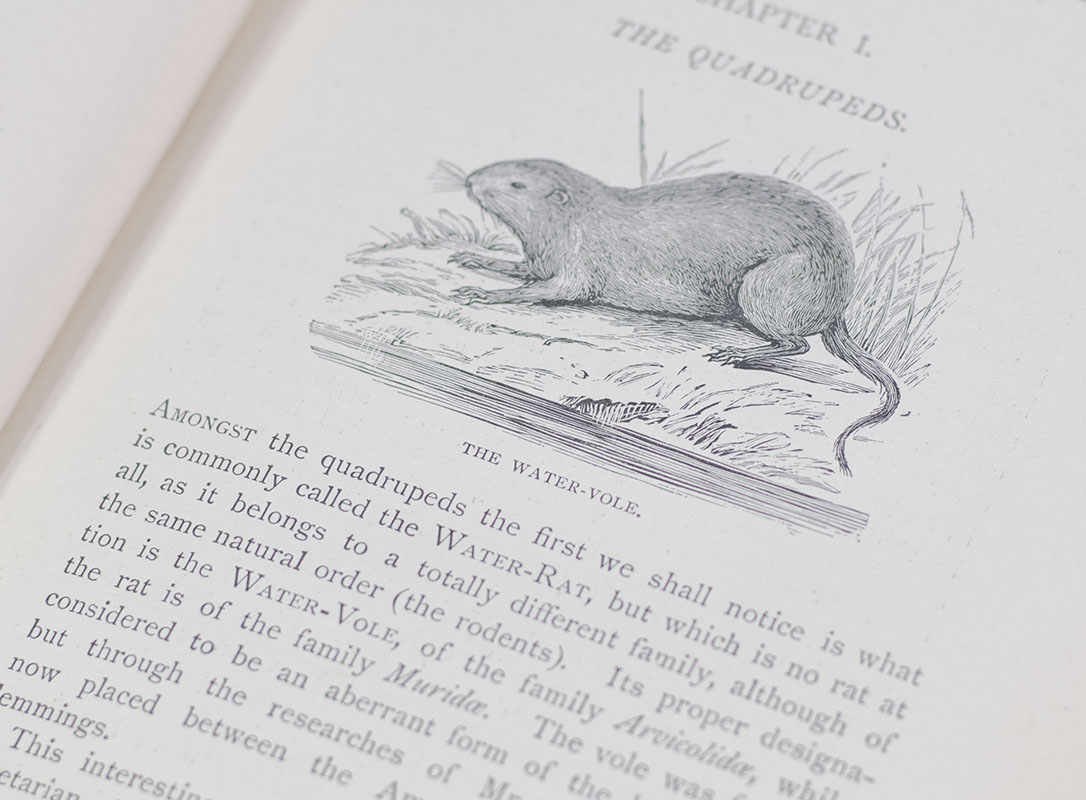 The River-Side Naturalist: Notes of the Various Forms of Life Met With Either In, On, or By The Water, or In Its Immediate Vicinity.