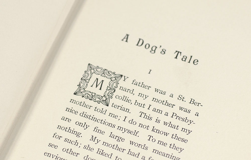 A Dog's Tale.