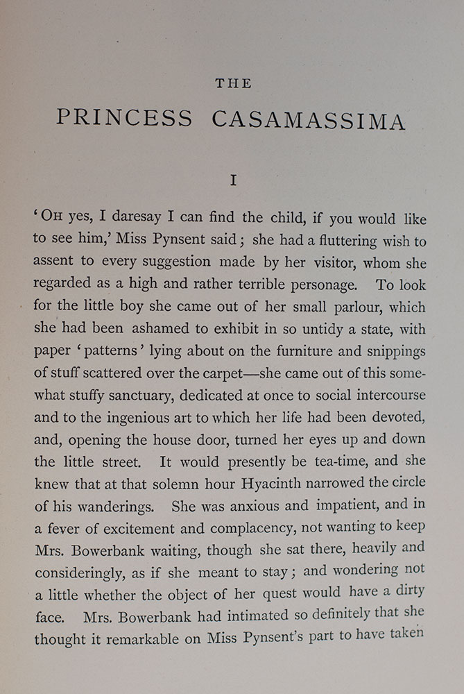 The Princess Casamassima: A Novel.