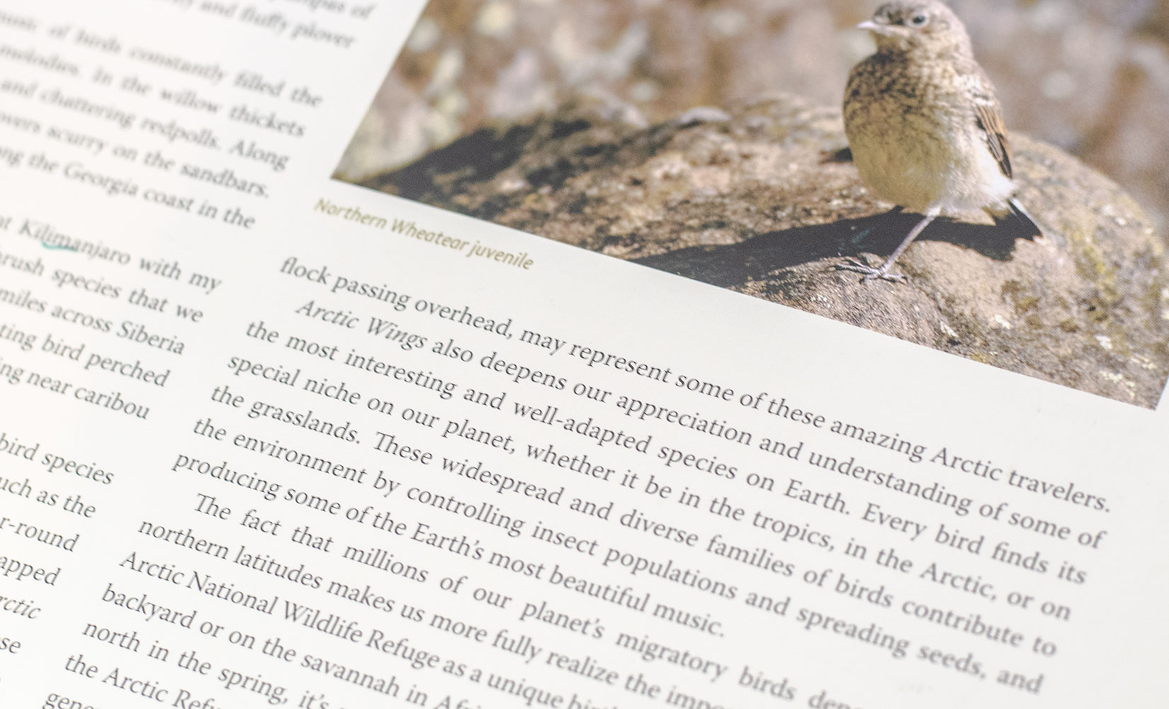 Arctic Wings: Birds of the Arctic National Wildlife Refuge.