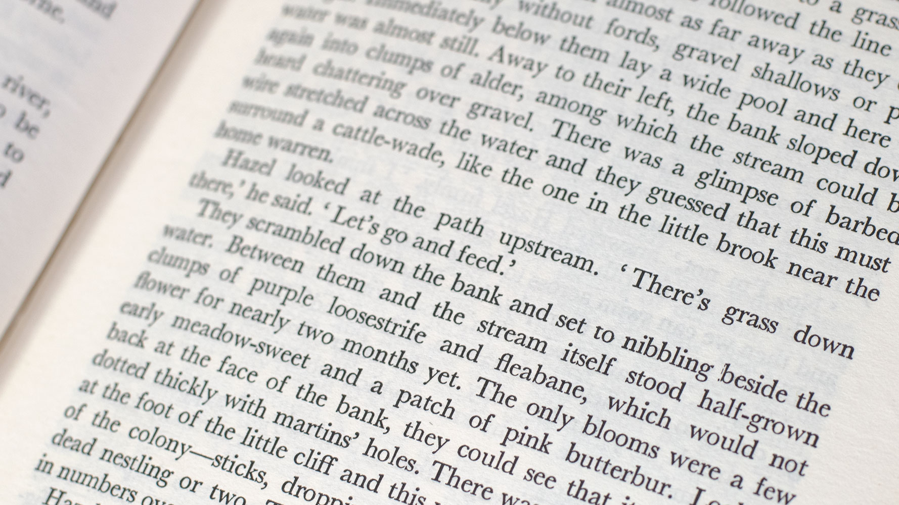 Watership Down.
