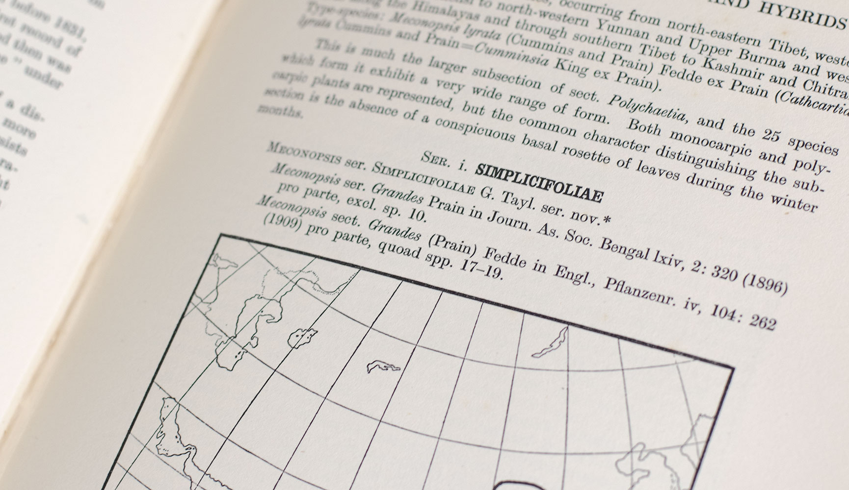 An Account of the Genus Meconopsis.