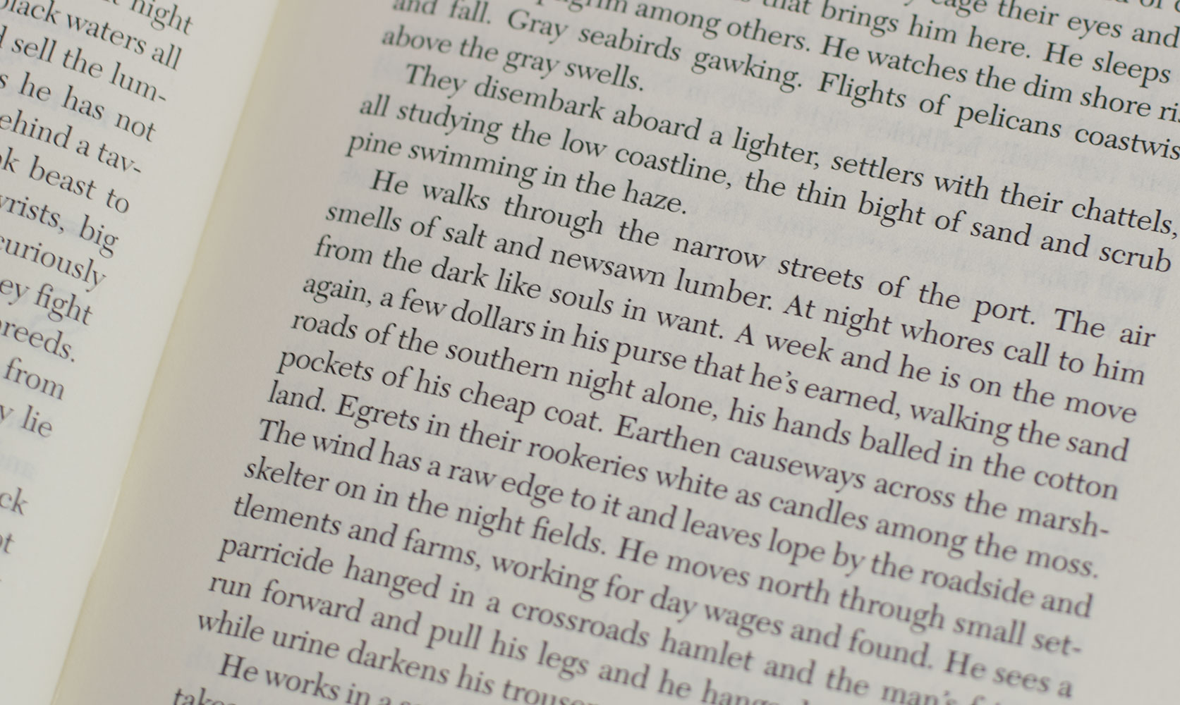 Blood Meridian, or The Evening Redness in the West.