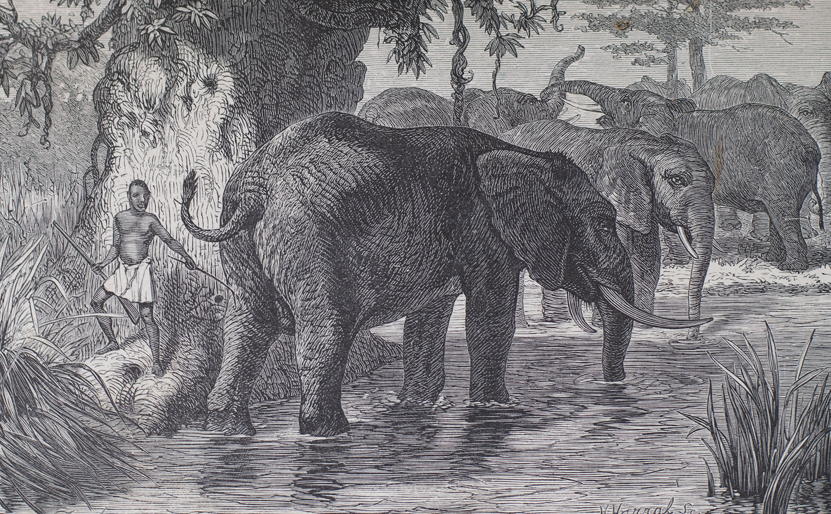 My Kalulu, Prince, King, and Slave: A Story of Central Africa.