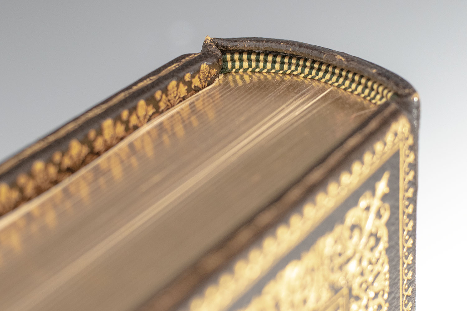 19th Century Victorian Era Blank Guest Book.