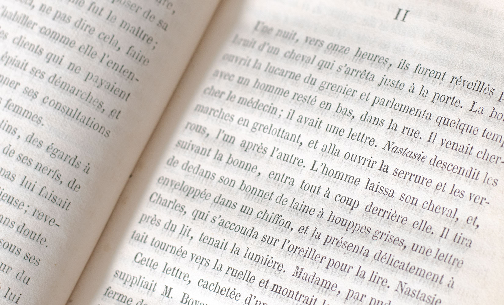 Madame Bovary: Provincial Manners.