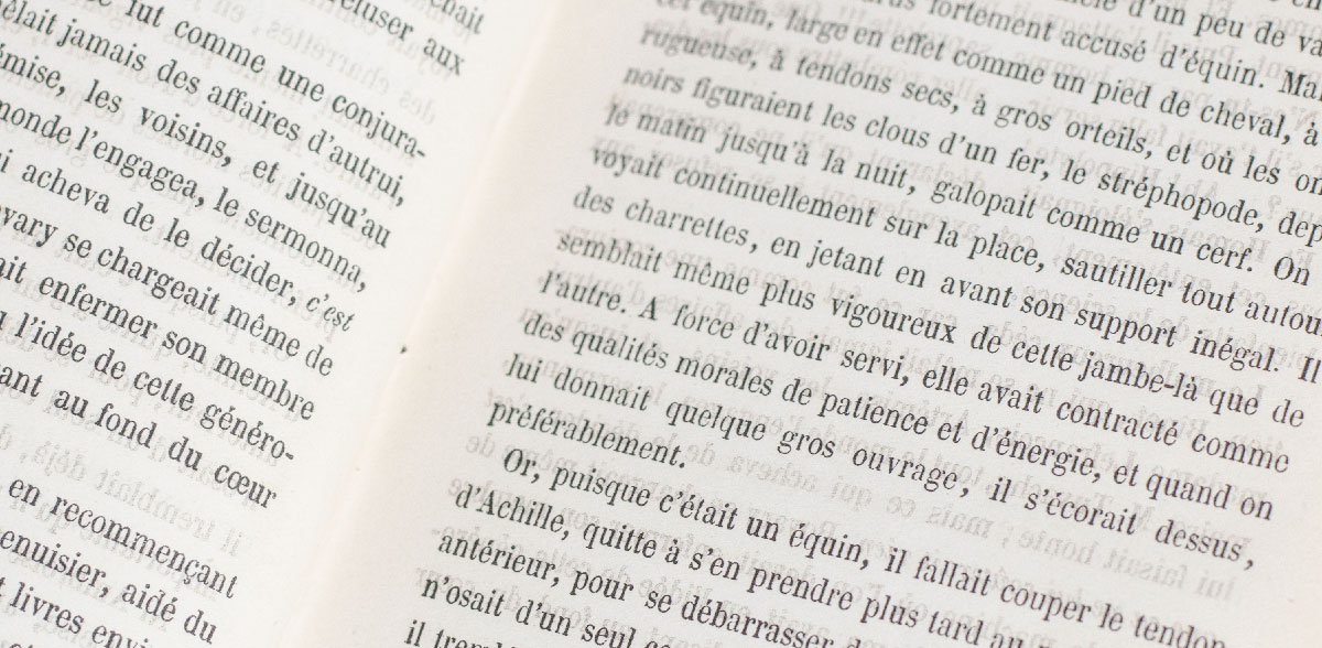 Madame Bovary: Provincial Manners.