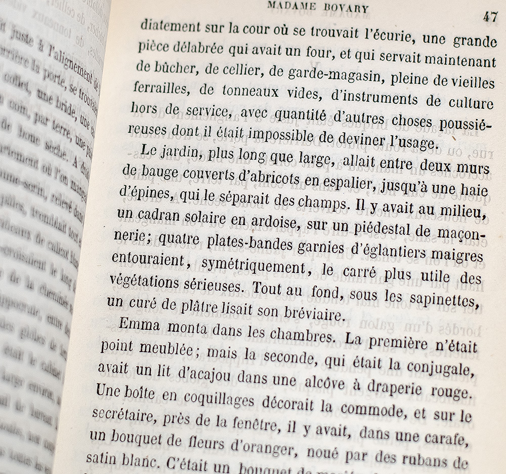 Madame Bovary: Provincial Manners.