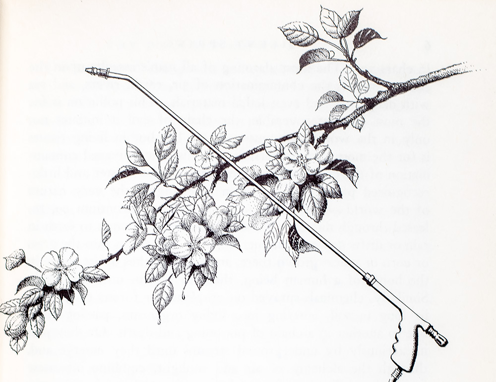 Silent Spring.