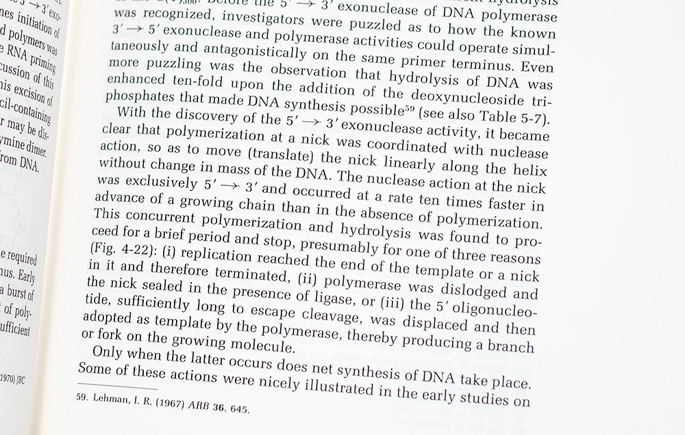 DNA Synthesis.