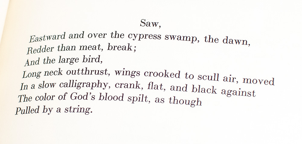 Audubon: A Vision.