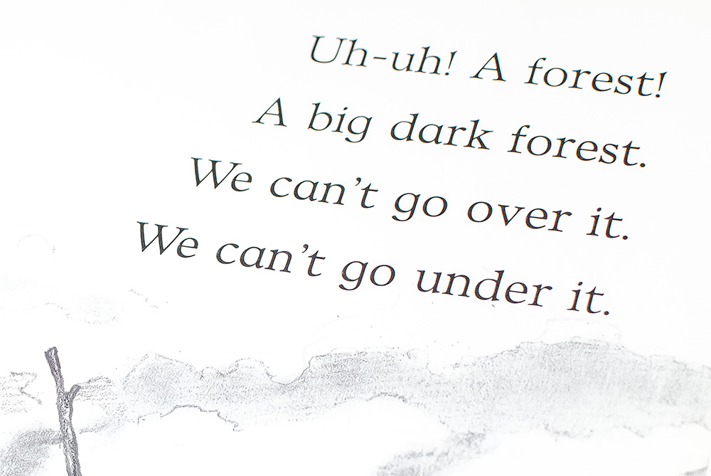 We're Going On A Bear Hunt.
