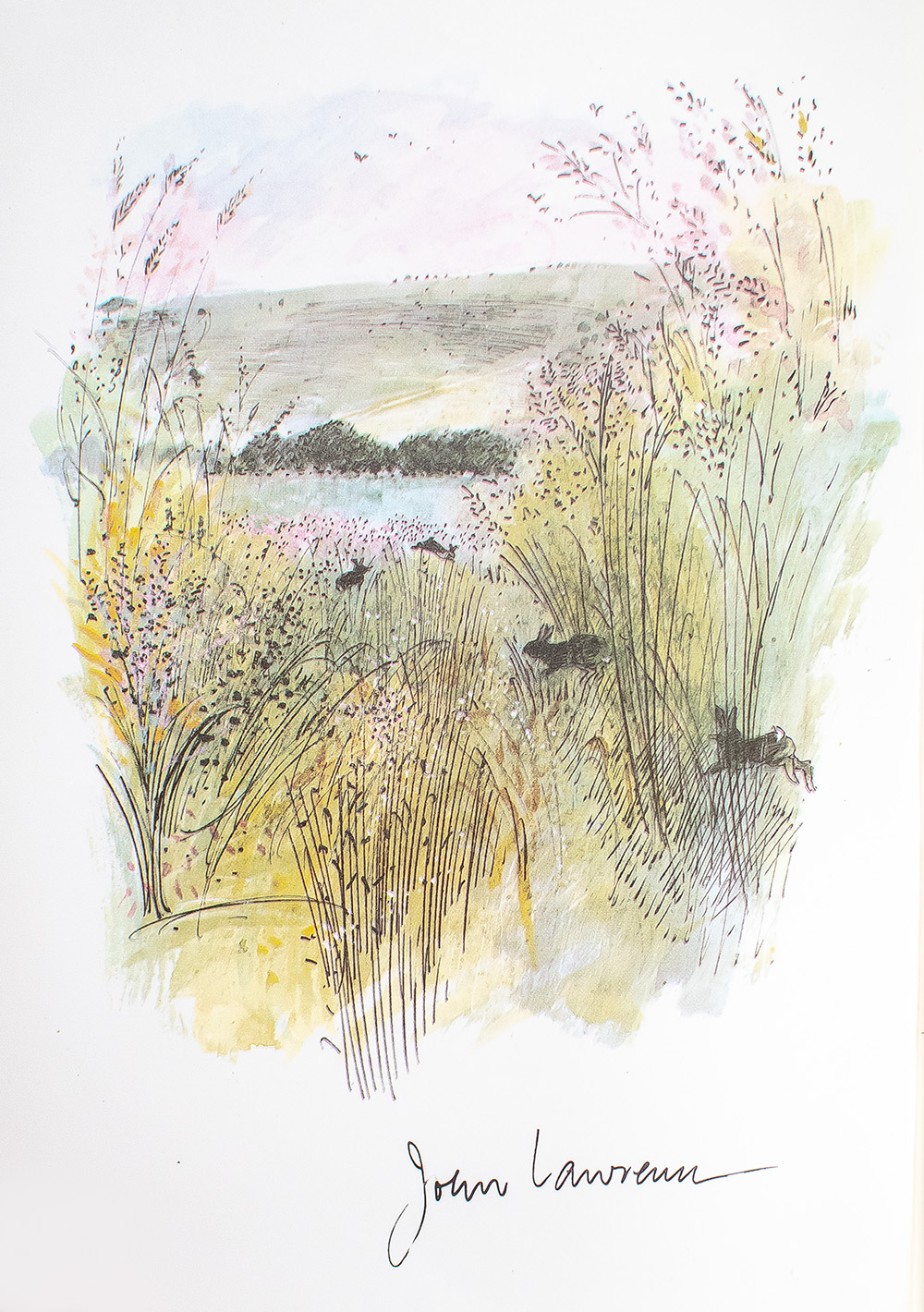 Watership Down.
