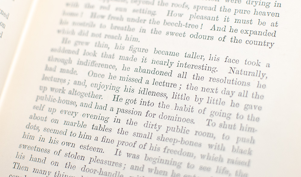 Madame Bovary.