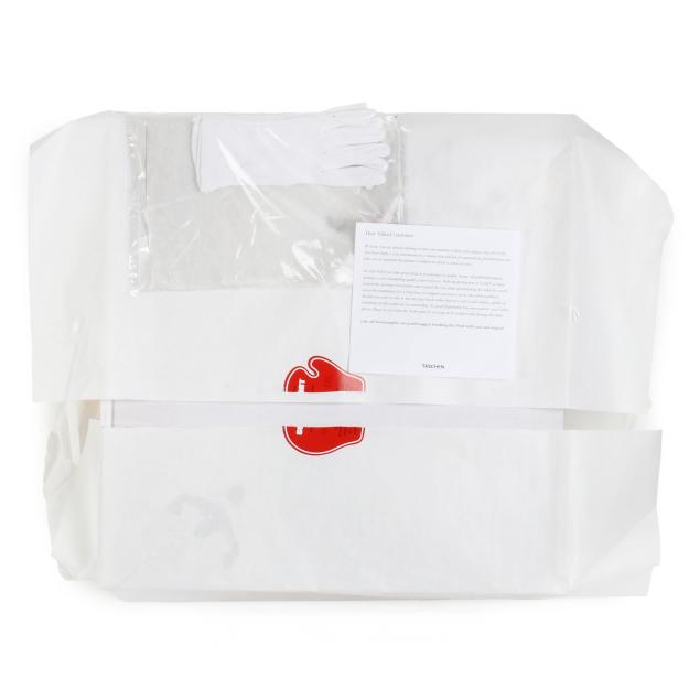 Protective packaging for a collector’s edition book