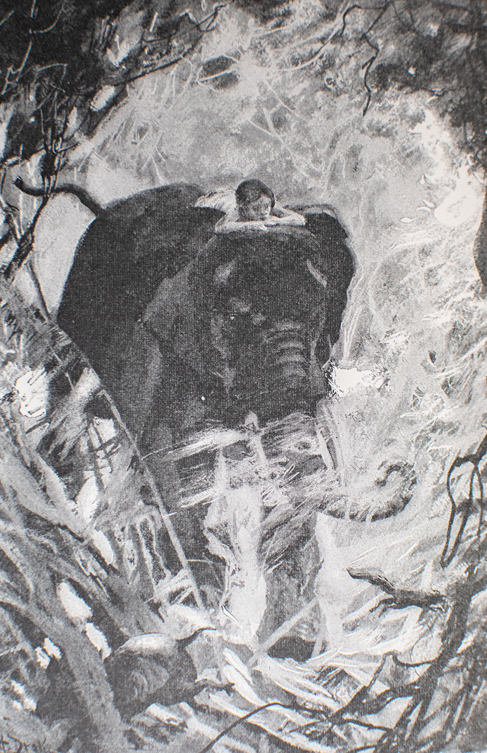 The Jungle Book and The Second Jungle Book.