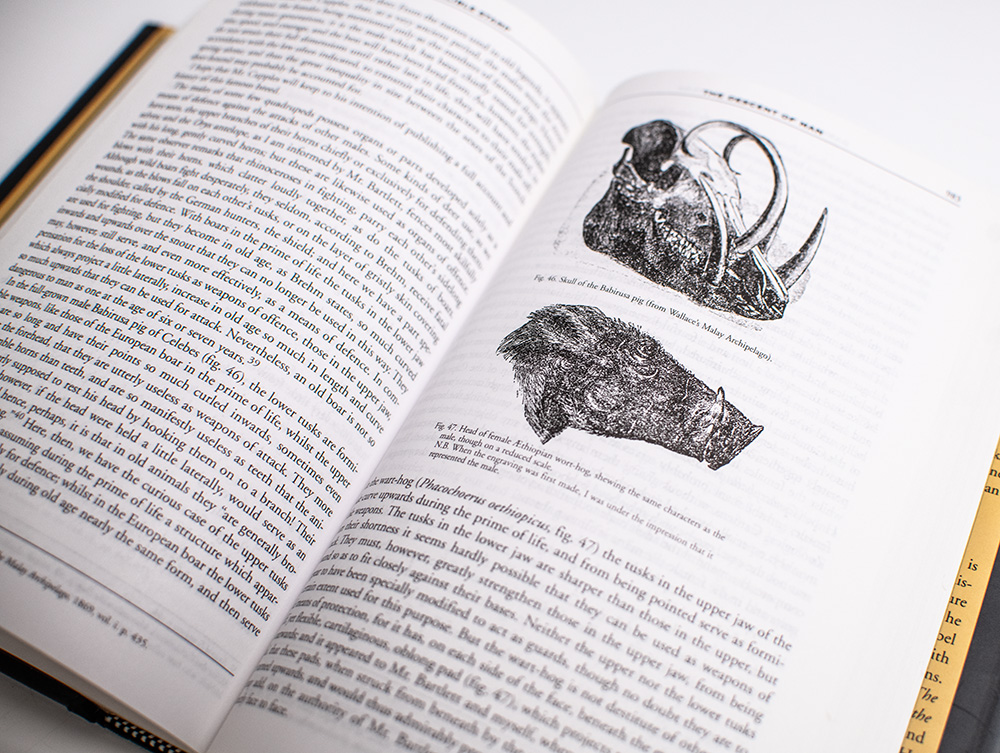 Darwin: The Indelible Stamp.