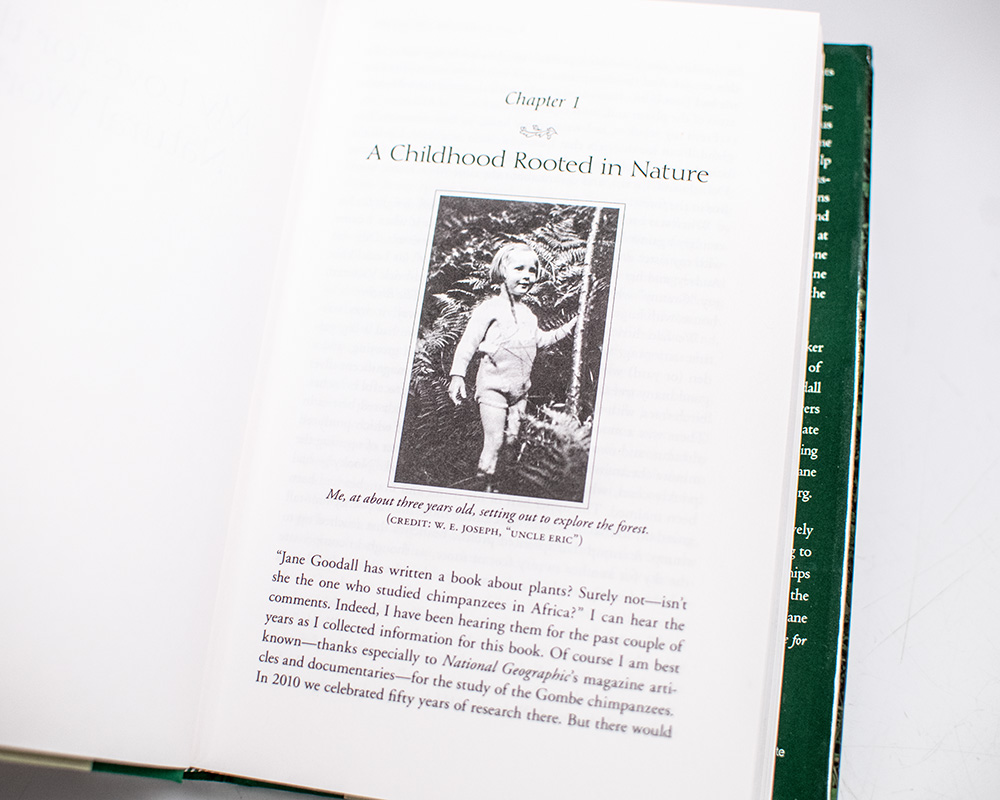 Seeds of Hope: Wisdom and Wonder from the World of Plants.