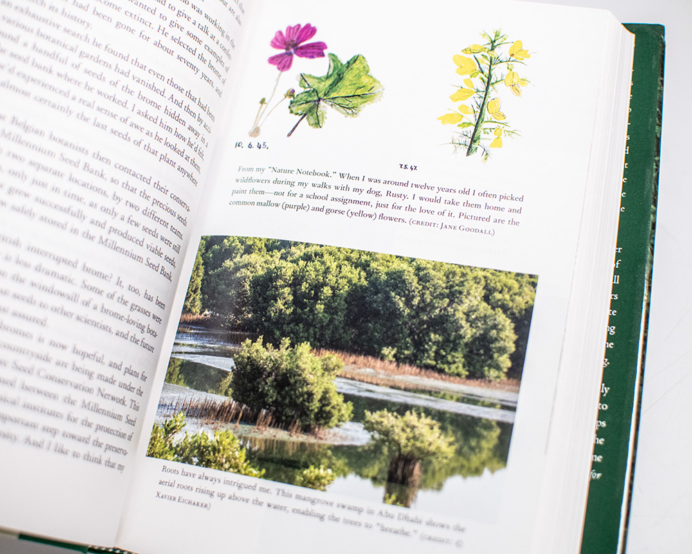 Seeds of Hope: Wisdom and Wonder from the World of Plants.