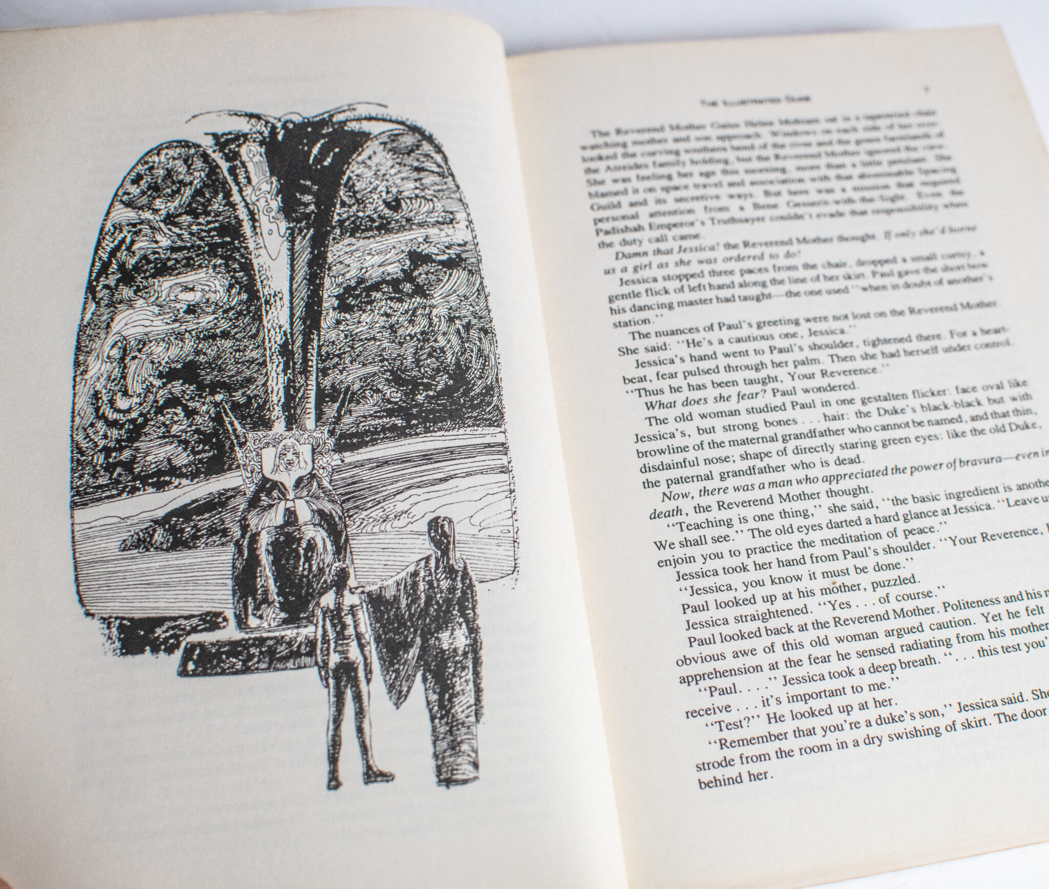 The Illustrated Dune.