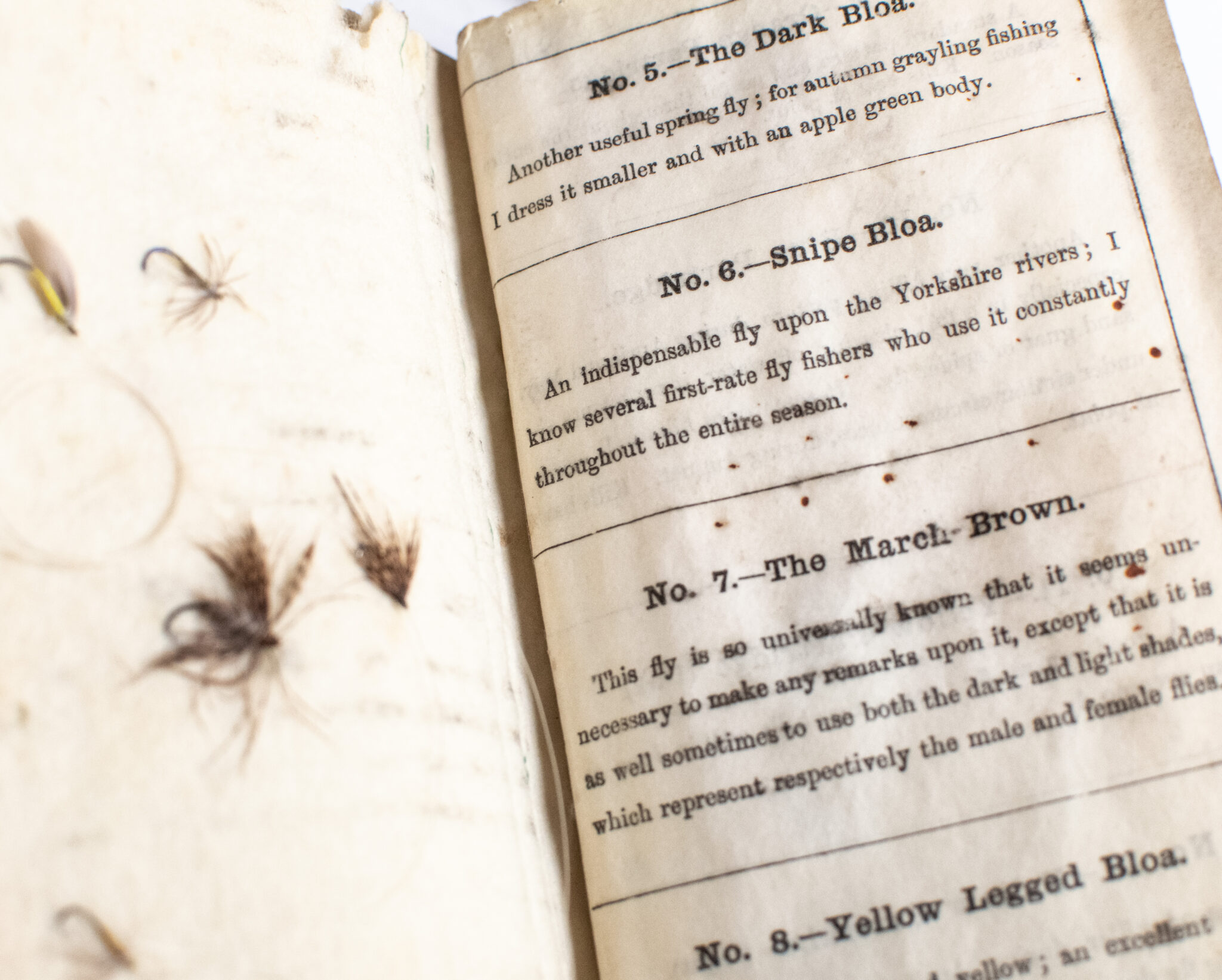 The Wharfedale Fly Book, Grayling and How to Catch Them, and Walbran's British Angler.
