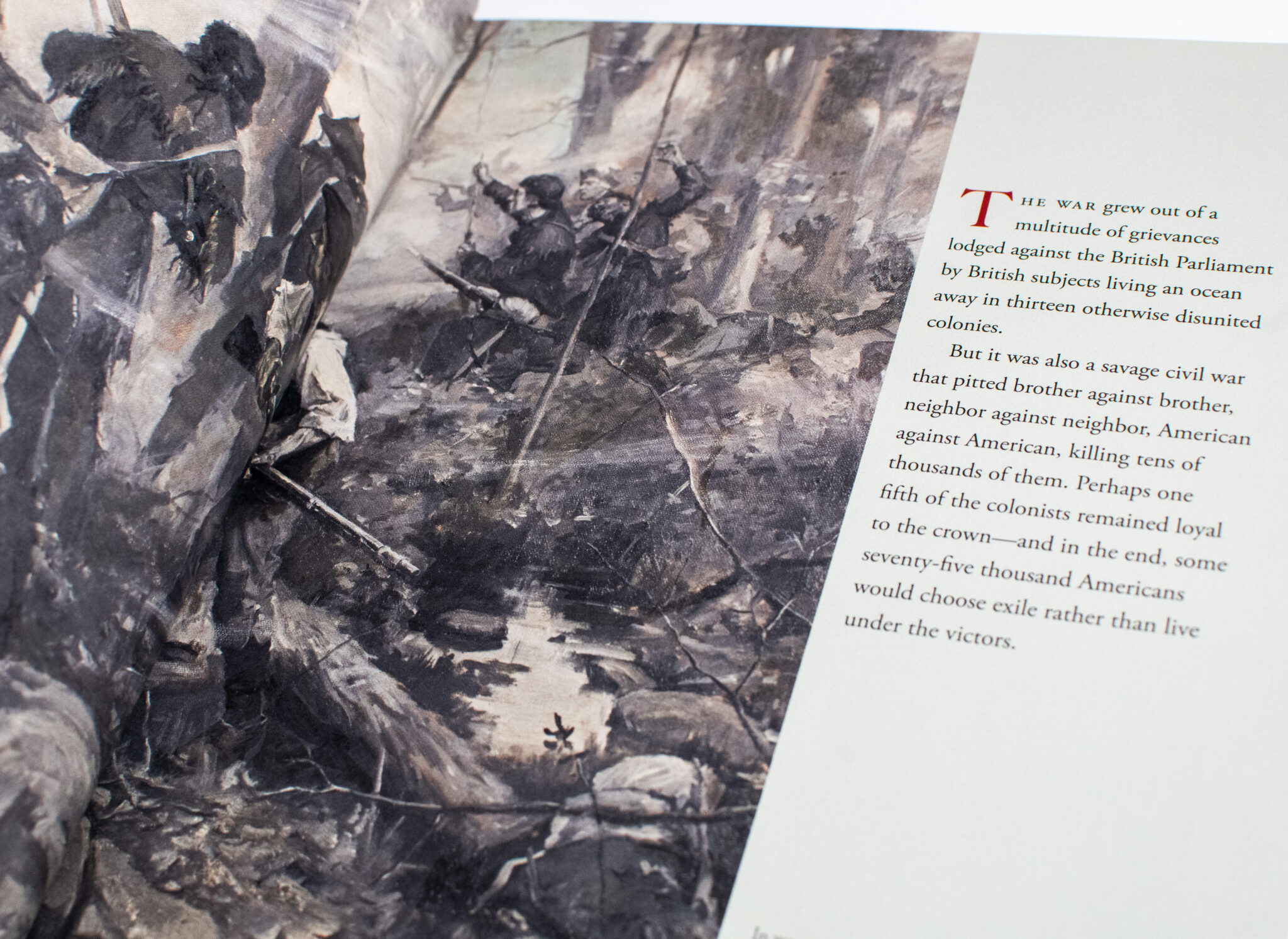 The American Revolution: An Intimate History.