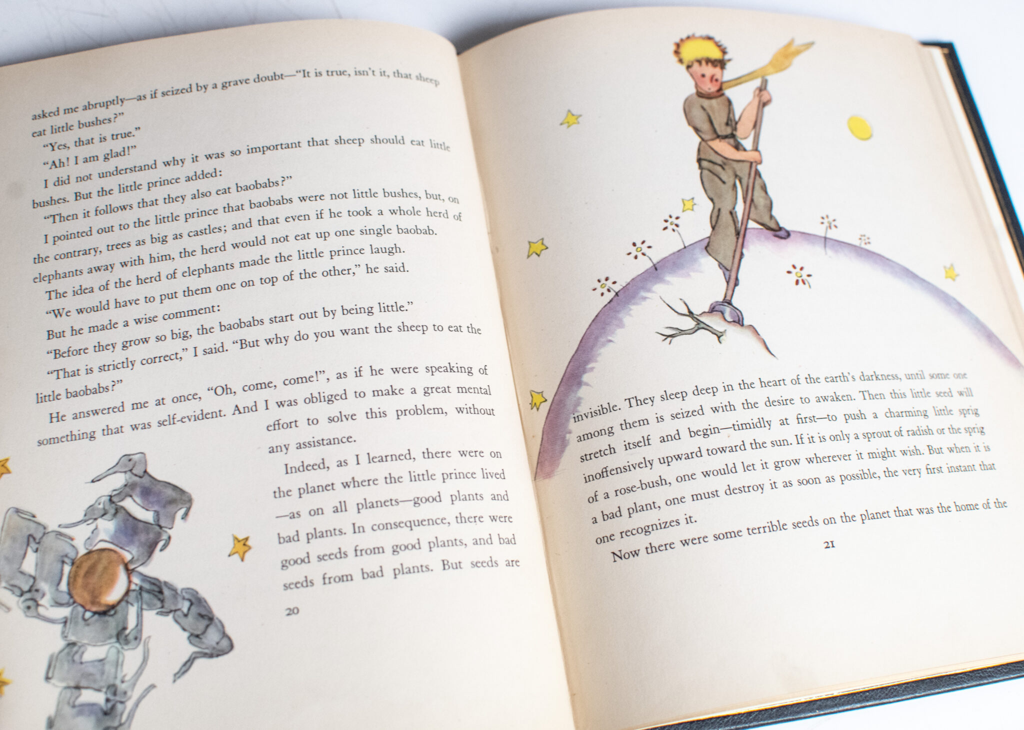 The Little Prince.