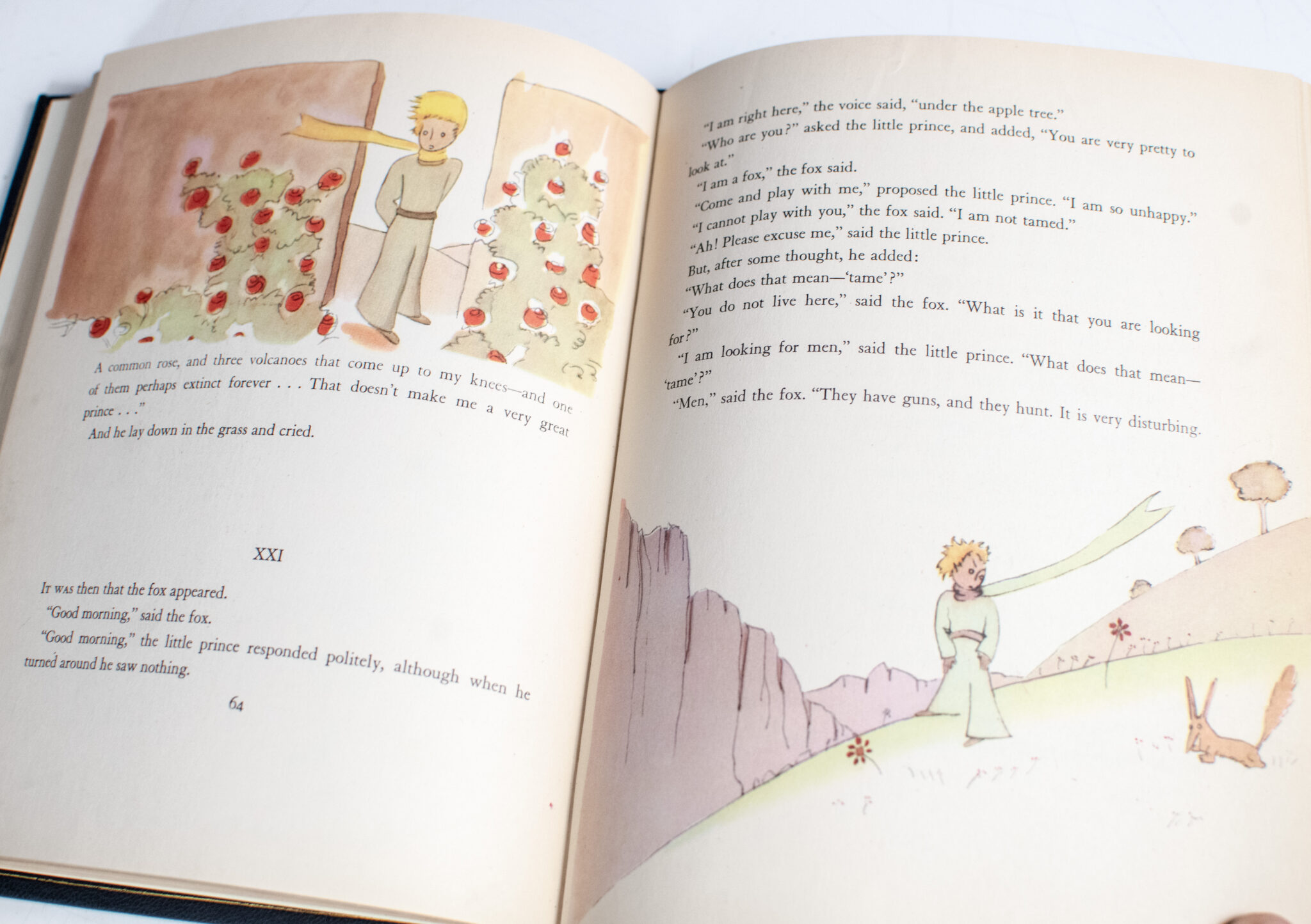 The Little Prince.