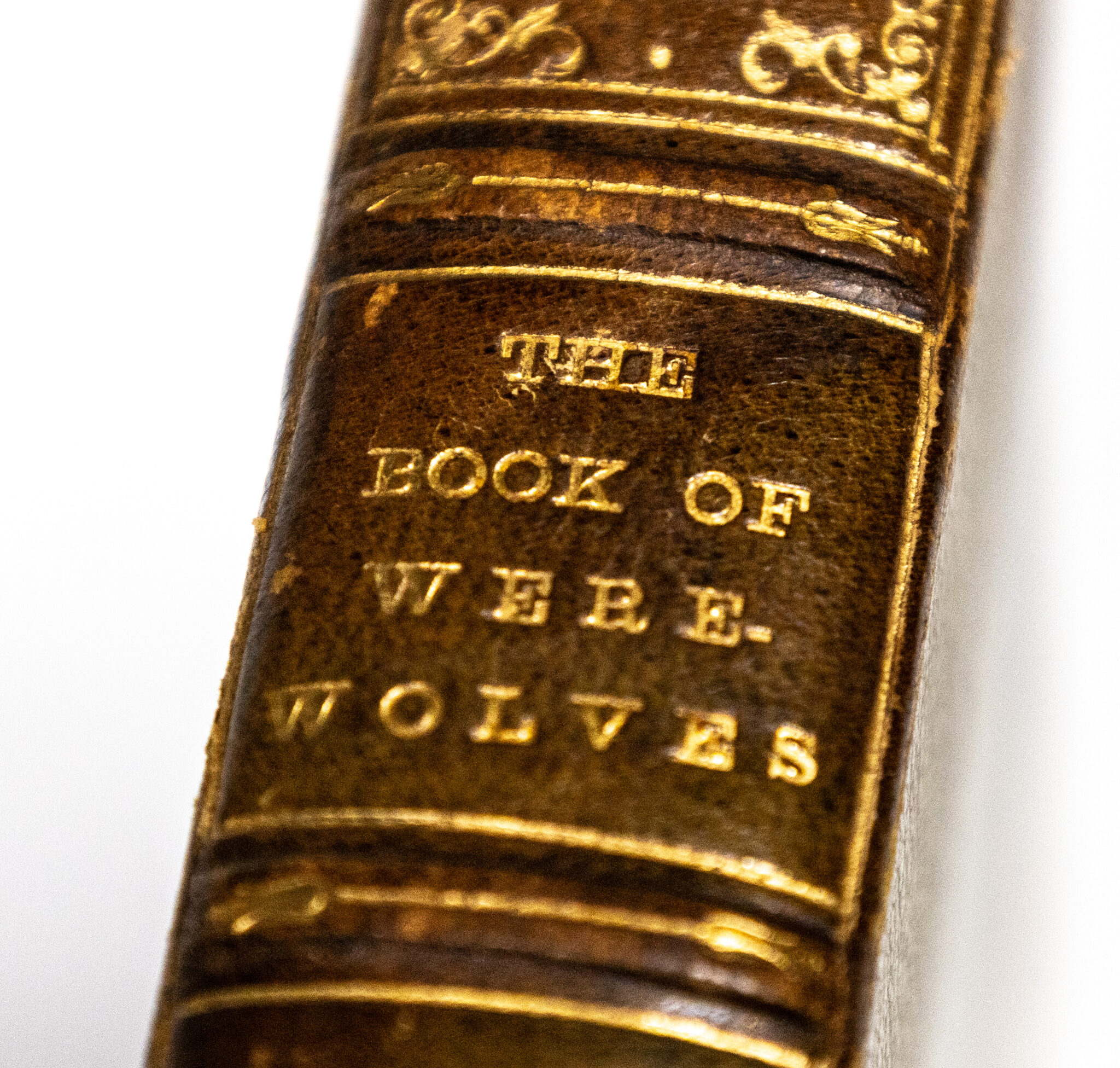 The Book of Were-Wolves: Being an Account of a Terrible Superstition.