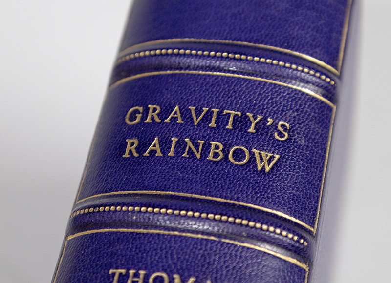 Gravity's Rainbow.